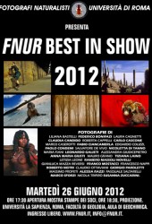 26 giugno 2012 – FNUR Best in Show 2012