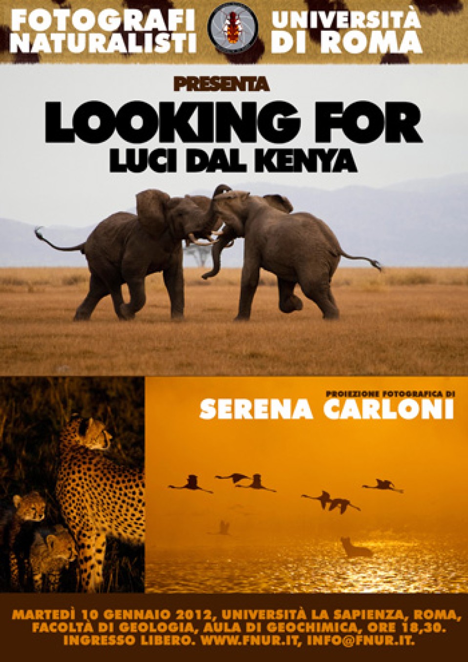 10 gennaio 2012 – Looking for. Luci dal Kenya