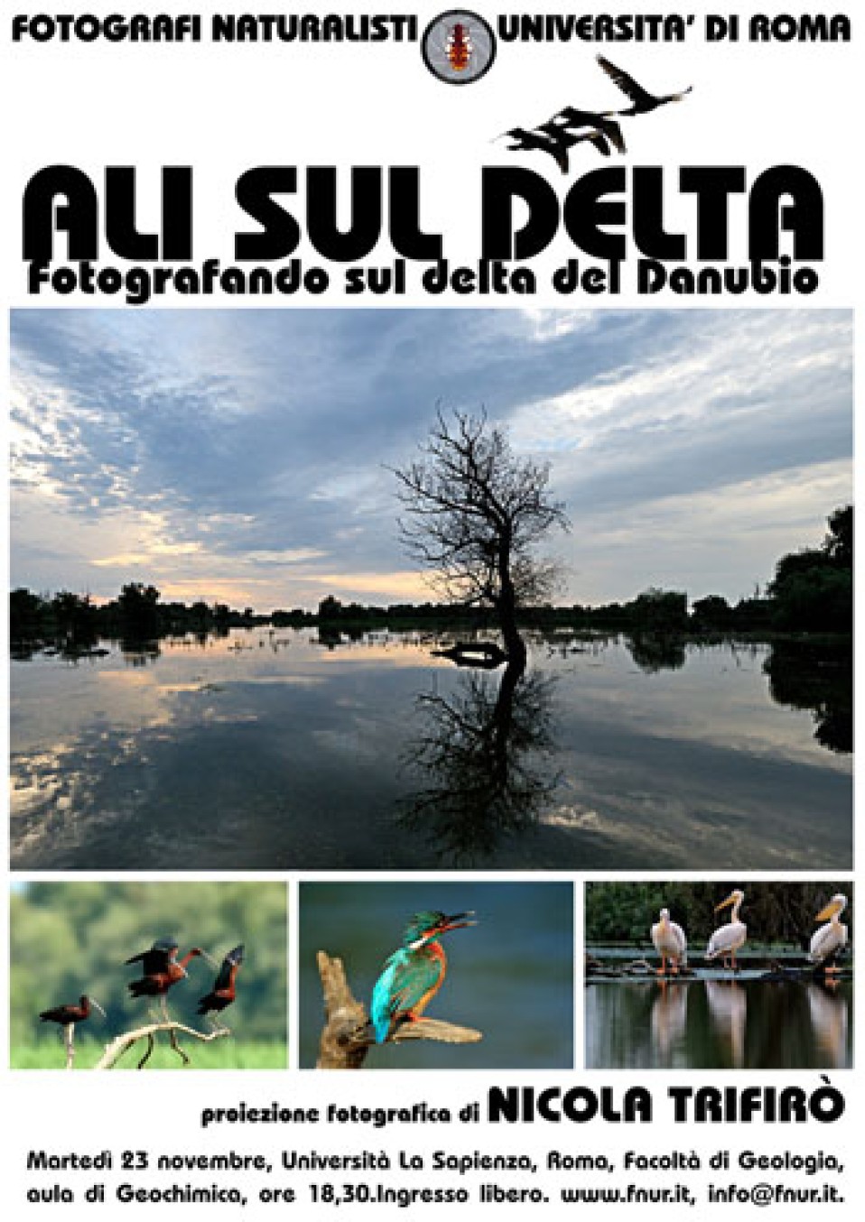 23 novembre 2010 – Ali sul delta