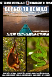 26 ottobre 2010 – Borneo to be wild