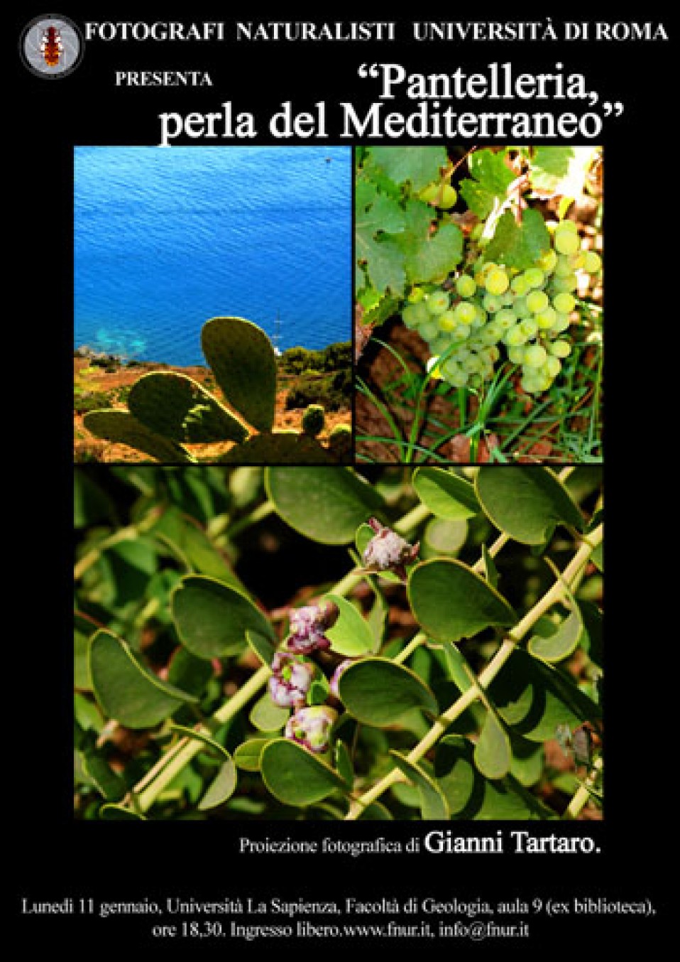 11 gennaio 2010 – Pantelleria, perla del Mediterraneo