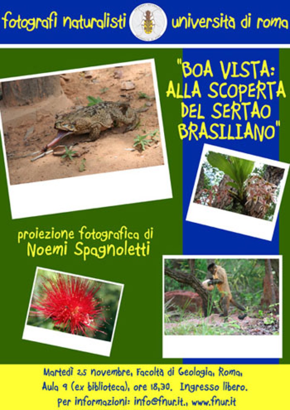 25 novembre 2008 – Boa Vista