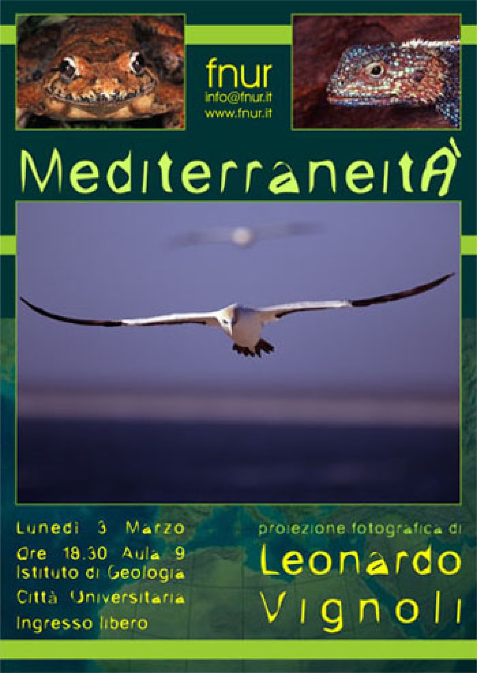 3 marzo 2008 – Mediterraneità