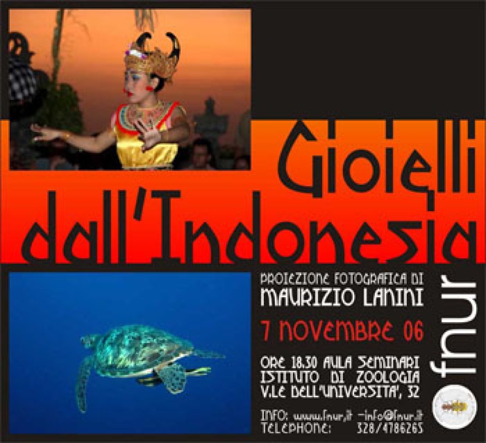 7 novembre 2006 – Gioielli dall’Indonesia