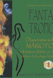 28 marzo 2006 – Fantasia tropicale