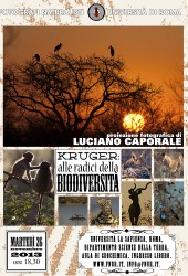 26 novembre 2013 – Kruger: alle radici della biodiversità