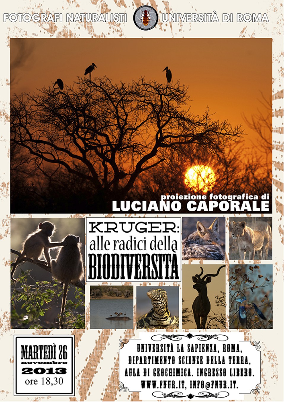 26 novembre 2013 – Kruger: alle radici della biodiversità