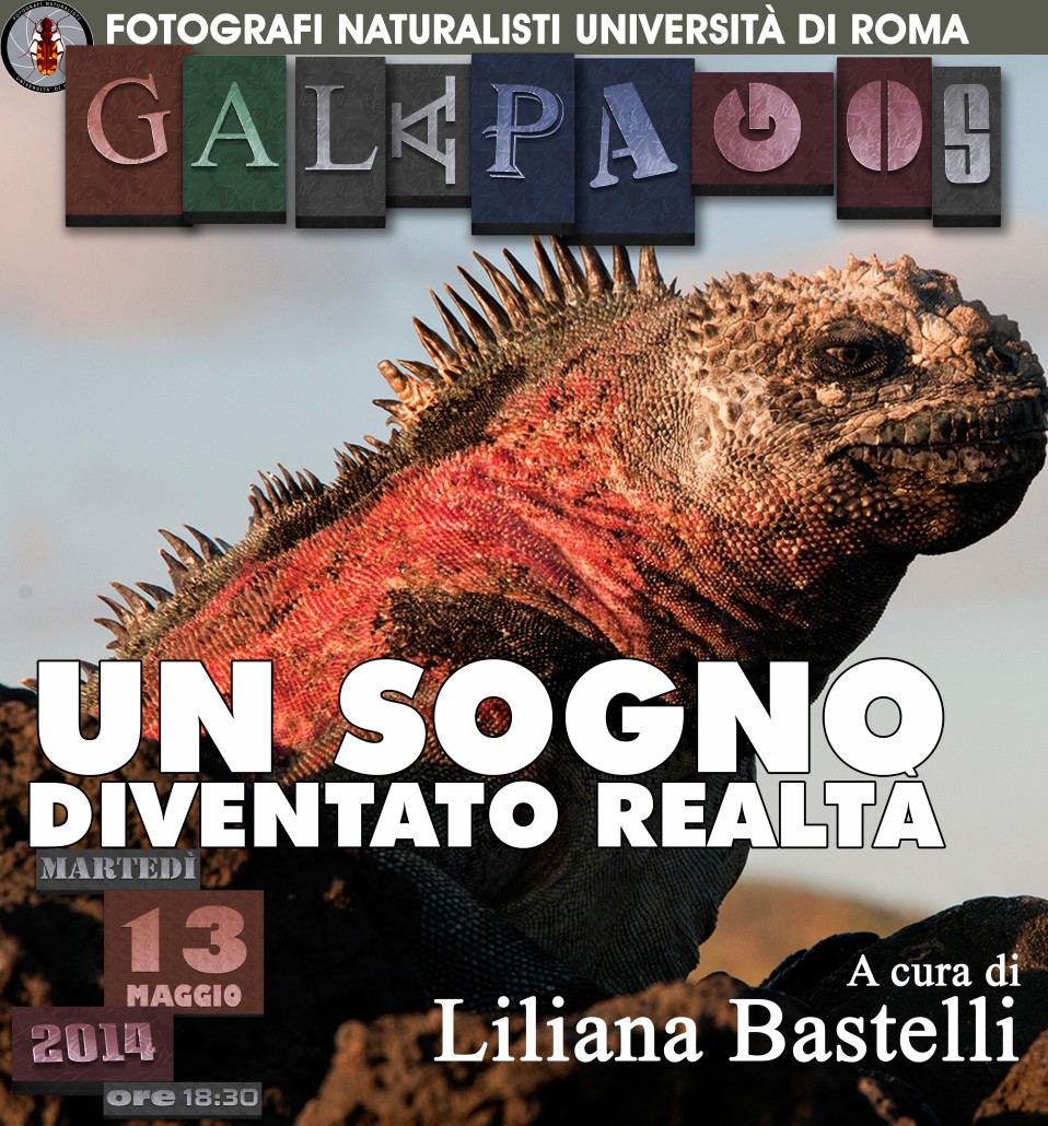 13 maggio 2014 – Liliana Bastelli