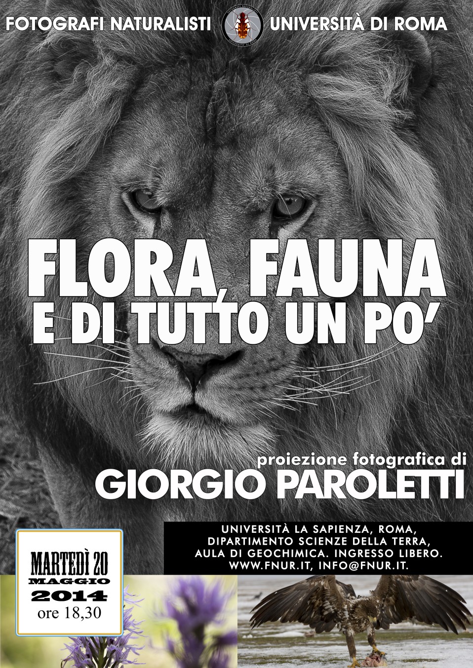 20 maggio 2014 – Giorgio Paroletti