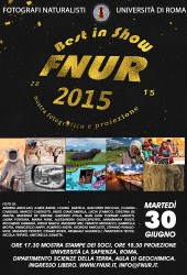 30 giugno 2015 – FNUR best in show 2015