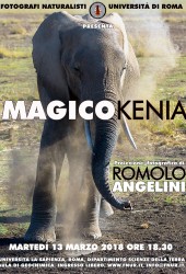13 Marzo 2018 – Romolo Angelini
