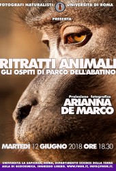 12 Giugno 2018 – Arianna De Marco