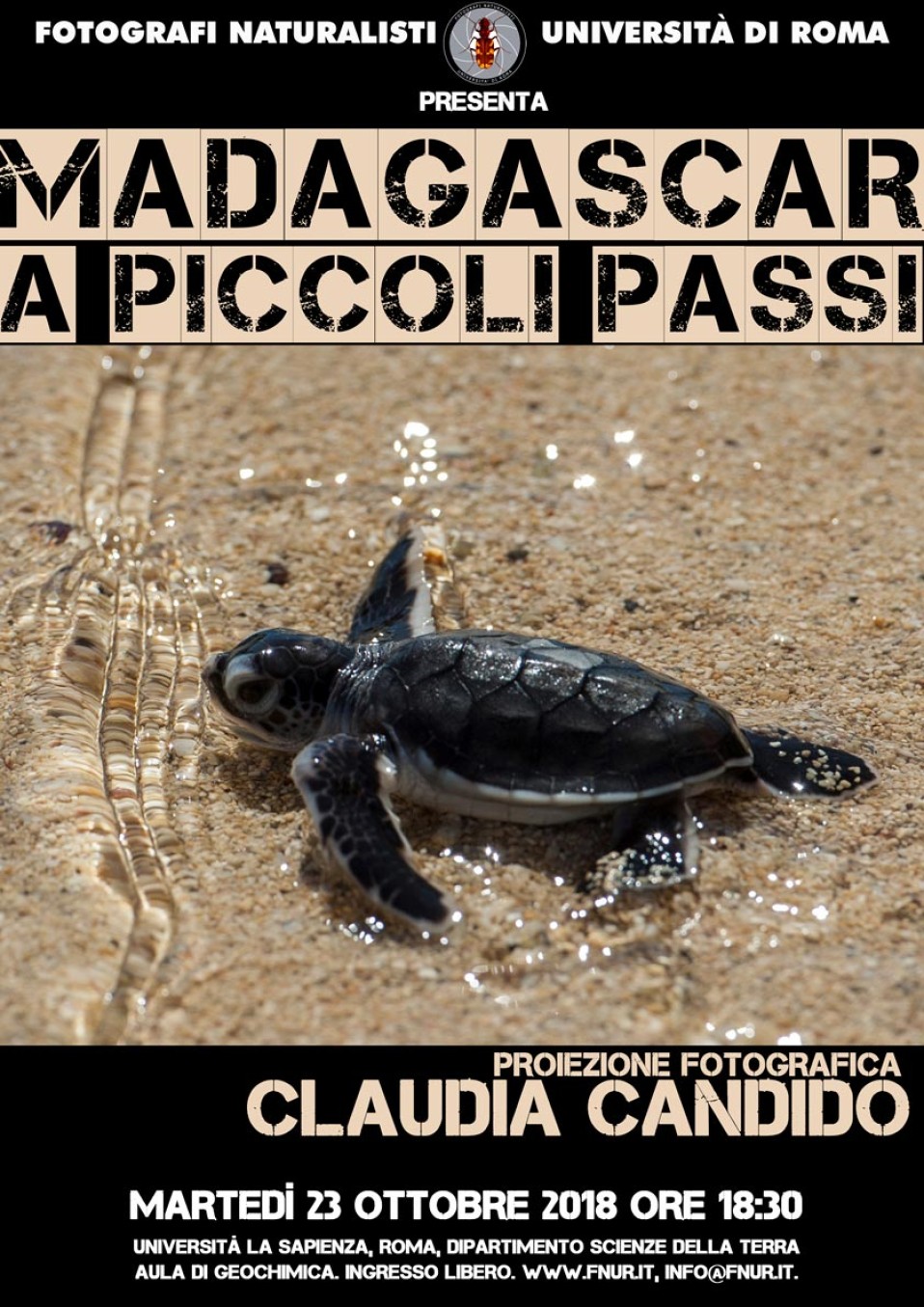23 ottobre 2018 – Claudia Candido