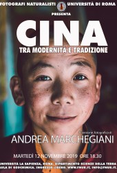 12 Novembre 2019 – Andrea Marchegiani