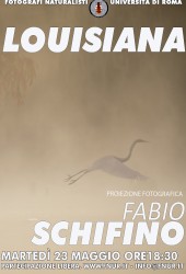 23 Maggio 2023 – Fabio Schifino