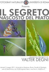 3 maggio 2011 – Il segreto nascosto del prato