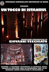 14 dicembre 2010 – Un tocco di Istanbul