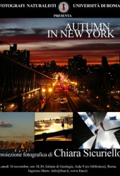16 novembre 2009 – Autumn in New York