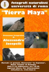 13 gennaio 2009 – Tierra Maya