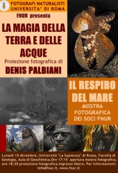 15 dicembre 2008 – La magia della terra e delle acque