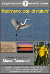 9 dicembre 2008 – Trasimeno, oasi di natura