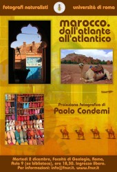 2 dicembre 2008 – Marocco