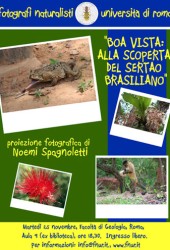 25 novembre 2008 – Boa Vista