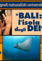 10 novembre 2008 – Bali,l’isola degli Dei