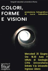25 giugno 2008 – Colori, forme e visioni