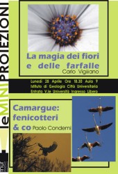 28 aprile 2008 – Fiori…
