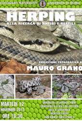 12 Novembre 2013 – Herping. Alla ricerca di anfibi e rettili