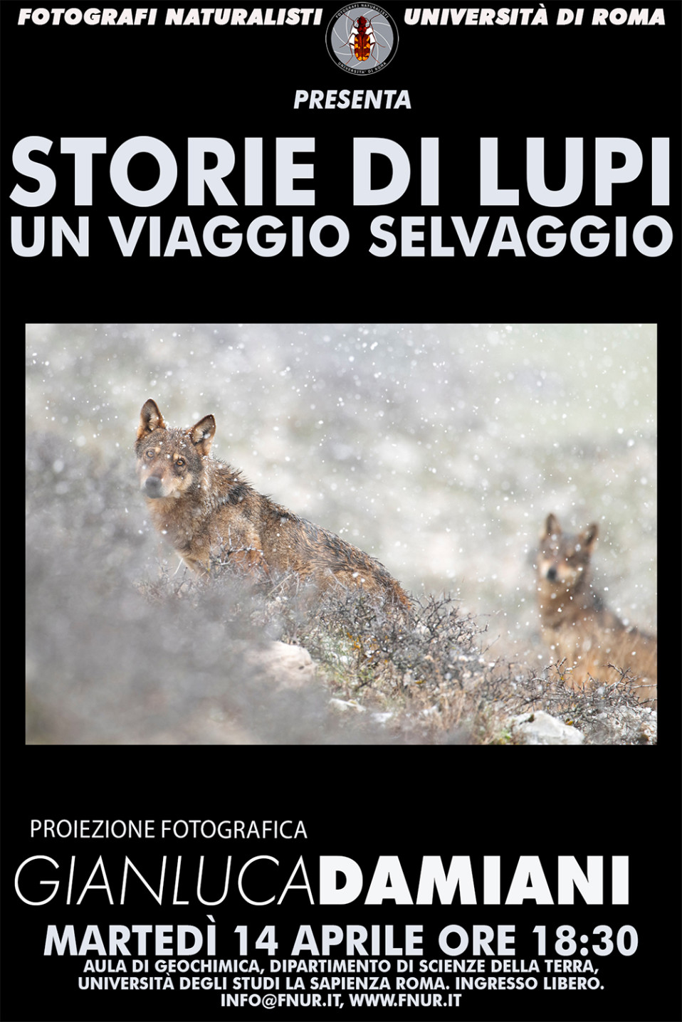 14 aprile 2026 – Gianluca Damiani